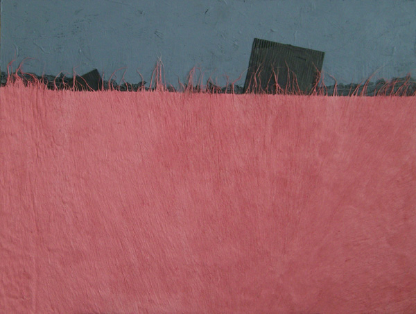 Anna Marie Ottaviano, drawings and collages
